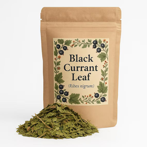 Crushed Black Current Leaves