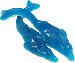 Giant Jelly Dolphins - 3kg
